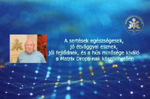 A sertések egészségesek, jó étvággyal esznek, jól fejlődnek és a hús minősége kiváló a Matrix Drops-nak köszönhetően